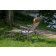 Portal Outdoor Anna Footrest Suitable Ken Chair Additional Add-On Portable Lightweight PT-CH-ANNA