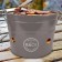 B&CO Charcoal Bucket BBQ - Grey