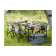 Coleman Large Camp Table 2199848