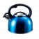 liberty leisure 2.5l whistling kettle blue