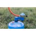 Campingaz Twin Connection 29Mbar, Refillable Cylinder/Cv Plus Cartridge Gas Regulator & Hose Kit 2186508