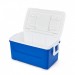 Igloo Laguna 48QT Cool Box 45L