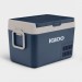 Igloo ICF 40L Compressor Cooler ACDC