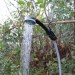 streetwize rechargeable portable shower lw627 in use