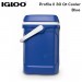 Igloo Coolers Profile II 30QT 28L Cool Box
